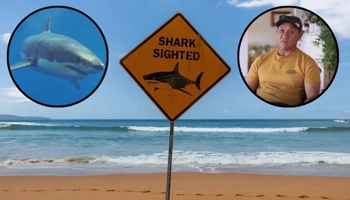 Shark Attack Survivor Recalls Shark 'Winking' Before Biting Off Leg