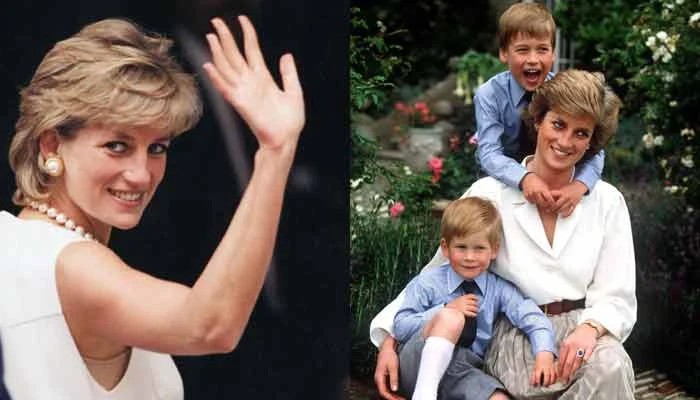 Princess Diana's revenge dress roars back into the spotlight