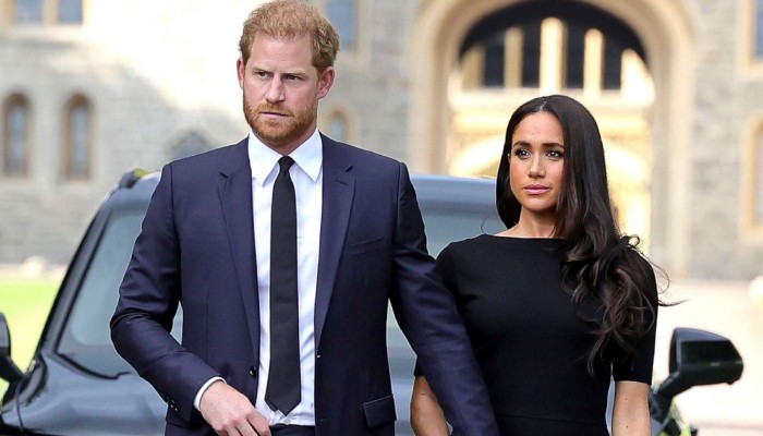Harry, Meghan get security vote in new statement: 'Avoid repeating history'