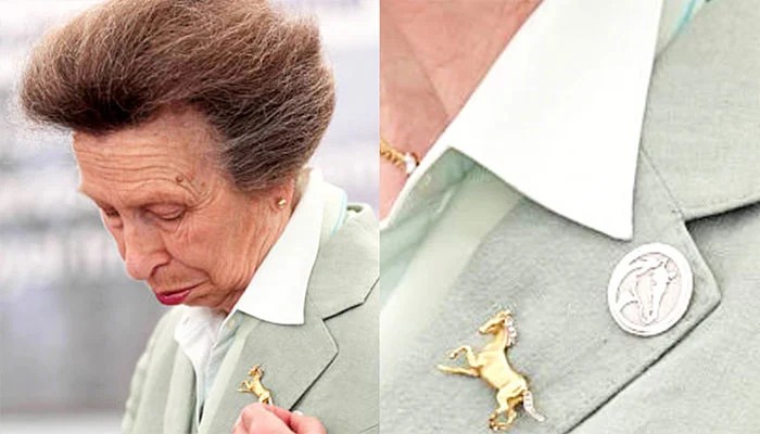 Princess Anne Receives Special World Horse Welfare Honour