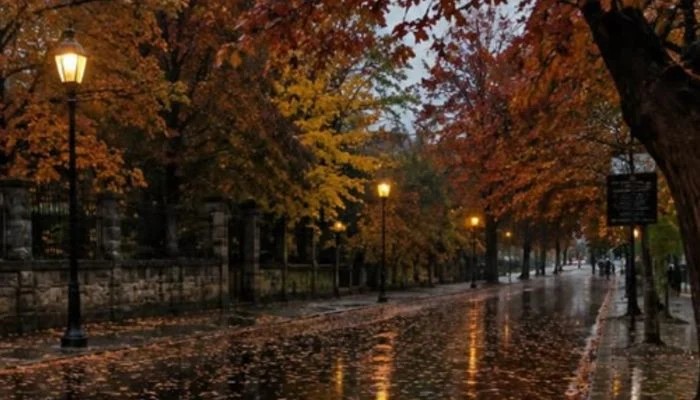 Autumnal Equinox Arrives Tonight Marking Official Start Of Fall