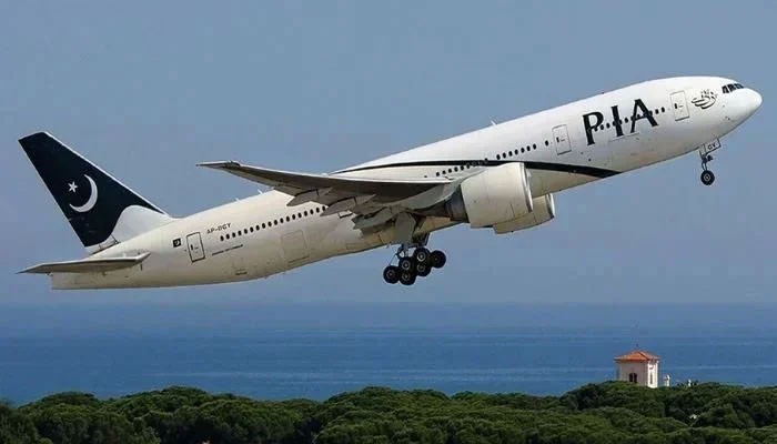 Senate Body Told Privatisation Process Improved Airline Performance
