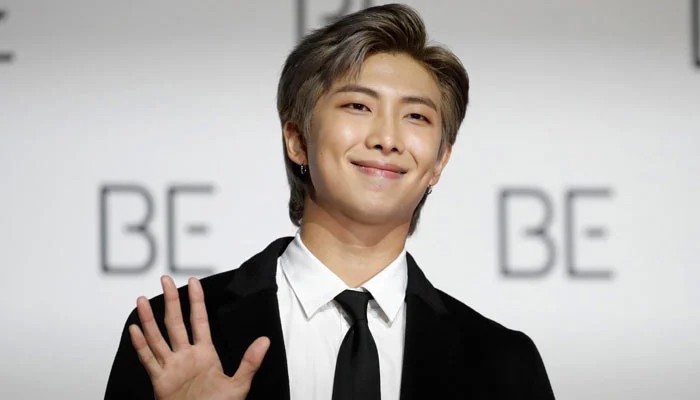 RM's Pixel Project suspension divides BTS fans following Chris Brown uproar