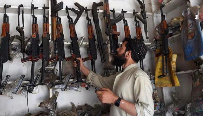 Arms Dealers Urge Punjab CM to Lift Licensing Ban Amid Digital Rollout