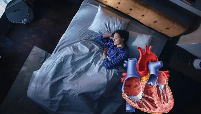 Nighttime light exposure linked to early signs of heart dysfunction