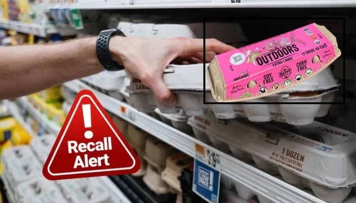 Salmonella Outbreak Triggers Organic Egg Recall Over 20 Illnesses Reported