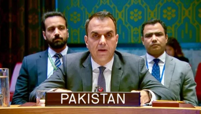 Pakistan Condemns Houthi Attacks On Saudi Arabia At UN Security Council