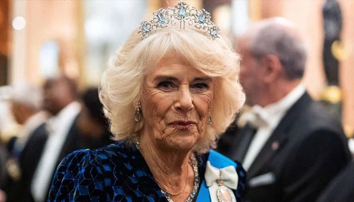 Queen Camilla pushes for royal unity as Harry-William talks loom