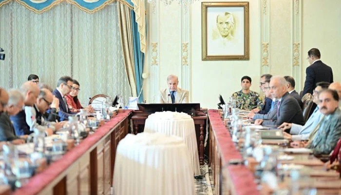 PM Shehbaz Seeks World-Class Investors for Power Discos Privatisation