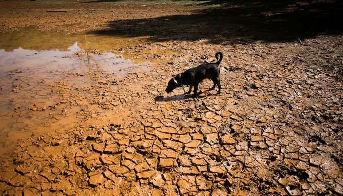 Explainer What Is A Super El Nino And How Will It Affect The Weather