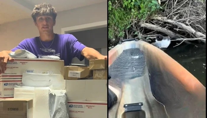 Fisherman Rescues Drowning Kitten From River After Hearing From Riverside Tree