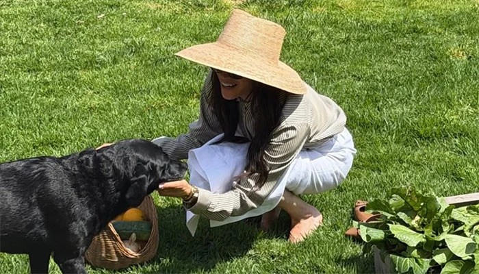 Meghan Shares Carefree Snap as Palace Puts Sussex Return Rumours to Bed