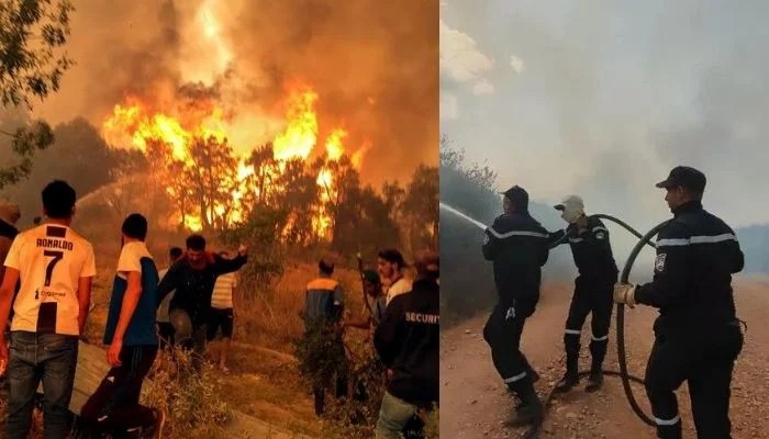 Algeria to reinstate death penalty for arsonists after wildfires claim 12 lives