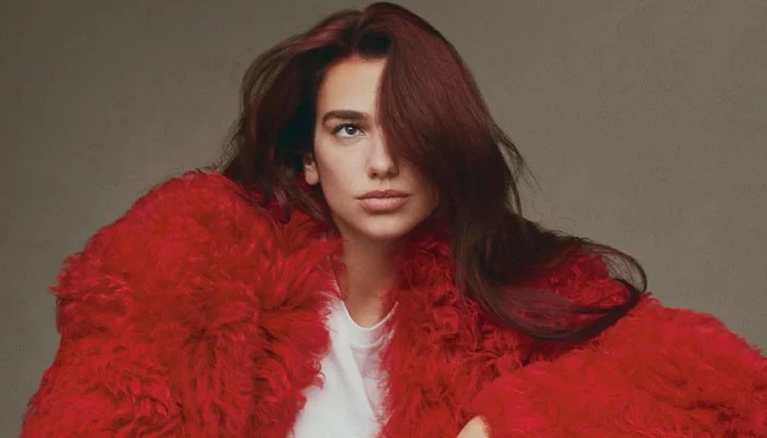 Dua Lipa Celebrates 11 Years of Debut Single 'New Love'