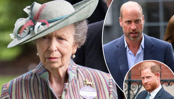 Princess Anne steps in with royal marching orders for William and Harry