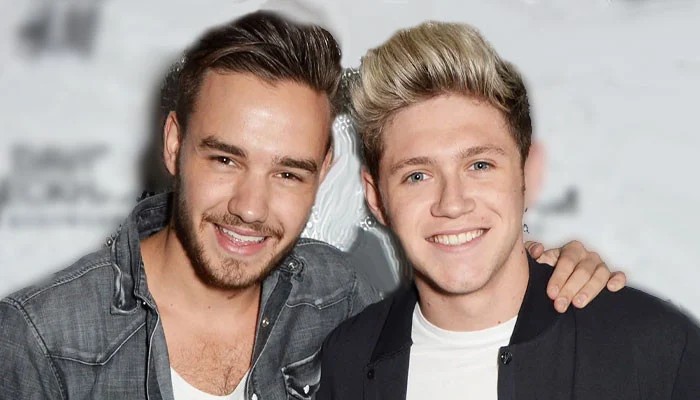 Liam Paynes Voice Echoes Through Arena During Niall Horans First Show