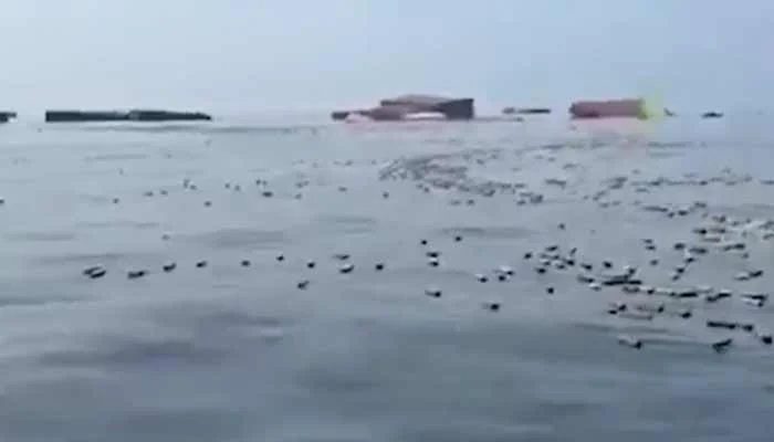 Watch: Iranian Fishermen Find Floating iPhones and Perfumes in Strait of Hormuz