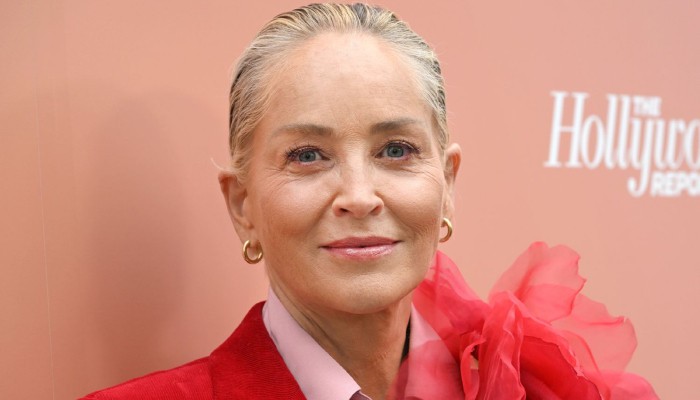 Sharon Stone delivers powerful speech on moving past labels