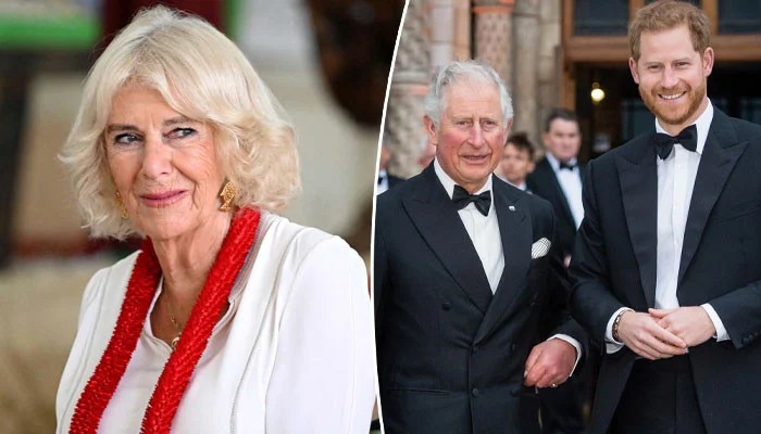 Queen Camilla helps thaw in King's relationship with Harry in clever move