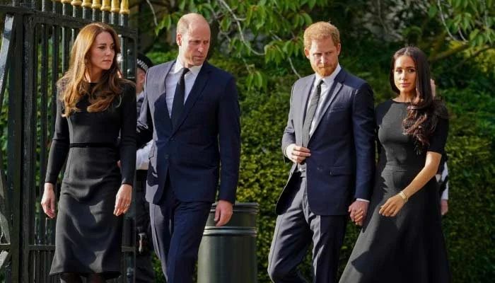 Prince Harry and Meghan Markle Plot Next Major Move After UK 'Test'