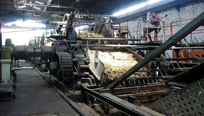 Why Govt and Sugar Industry Need a Fresh Playbook