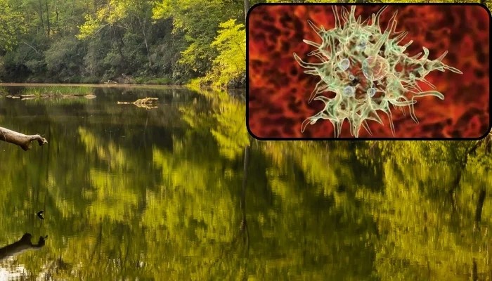 North Carolina Teen Fights for Life Against Rare Brain-Eating Amoeba