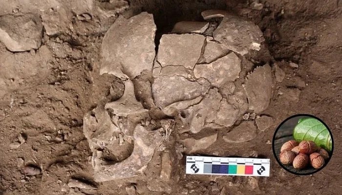 Scientists find evidence humans were getting high 25,000 years ago: Here's what they used