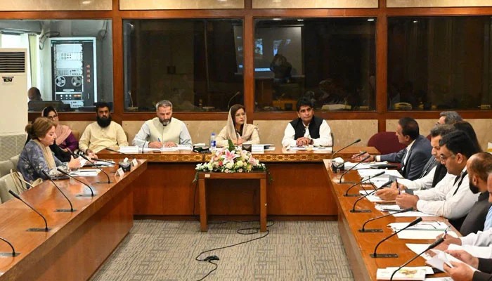 NA Panel Demands Action Over Violence Against Women