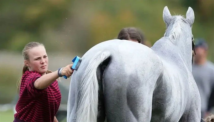Mia Tindall shows equestrian flair while helping mother Zara at Blenheim