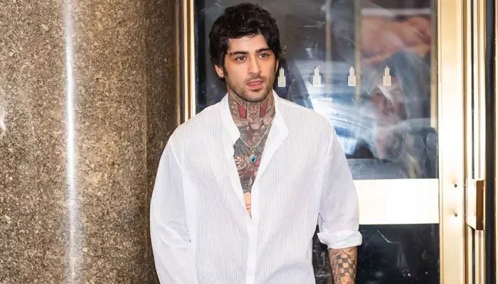 Zayn Malik Gives Furry Pal A Walking Dead Makeover