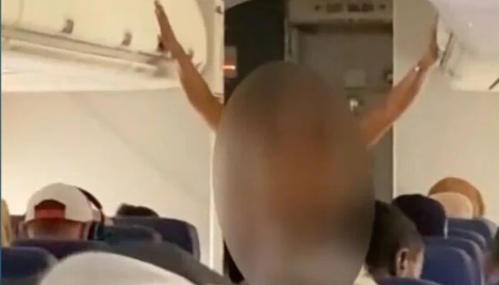 Female Passenger Removed From American Airlines Flight After Undressing Midflight