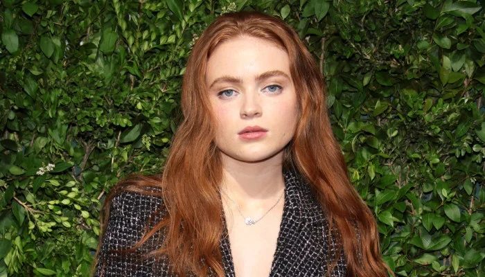 Sadie Sink Set to Star in Film Adaptation of Emma Cline's 'The Guest'