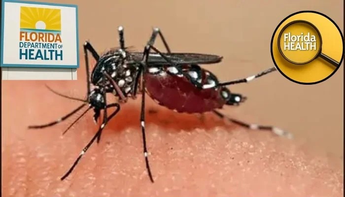 Dengue Fever Triggers Local State Of Emergency In Three Florida Counties