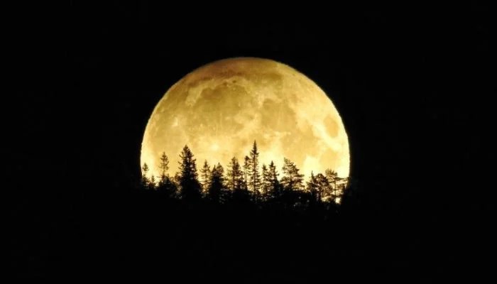 Harvest moon rises: Your guide to September's full moon