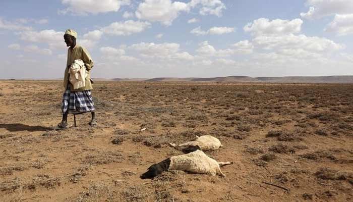 El Nino Could Cause 451000 Extra Heat Deaths Research