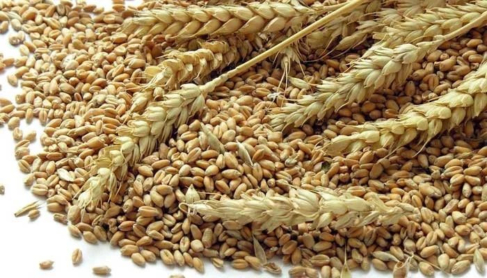 Water Shortage and Delayed Wheat Pricing Cloud Rabi Prospects