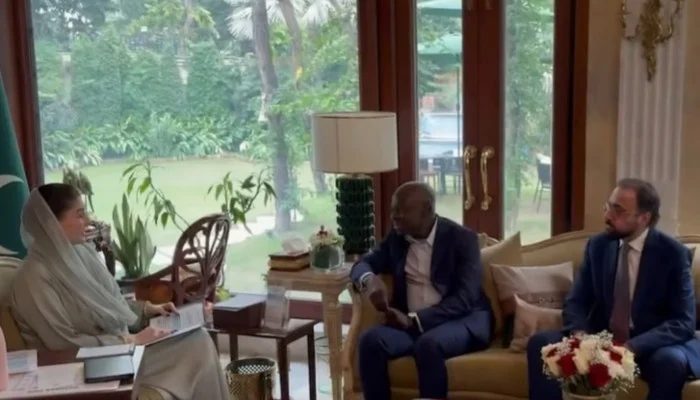 Punjab CM, ILO DG Discuss Labour Welfare