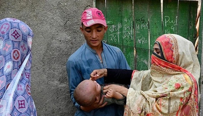 PM S Panel Reports Decline In Polio Cases