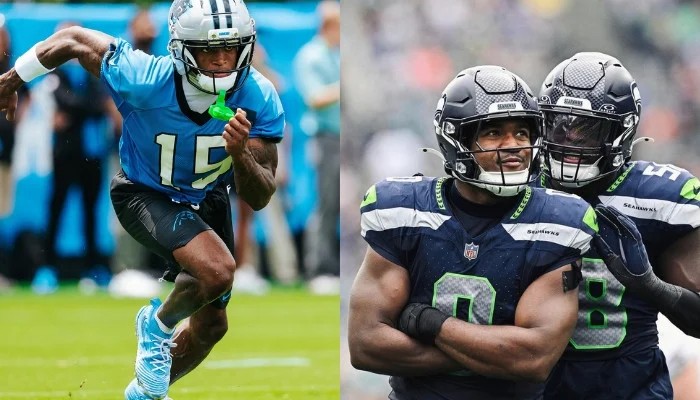 Panthers Release WR Horn, Promote LB Dodson From Practice Squad