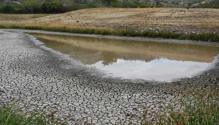 El Nino Likely to Strengthen Further, Persist Into 2027: WMO