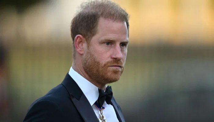 Prince Harry Hurt Following Former Girlfriend Chelsy Davy's Candid Remarks on Past Commitment Issues