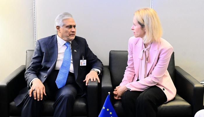 Dpm Dar Stresses Gsp Importance In Meeting With Eu Top Diplomat