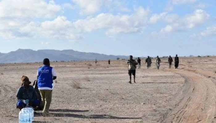 Djibouti Boat Wreck Leaves 139 Migrants Dead, 84 Missing: UN