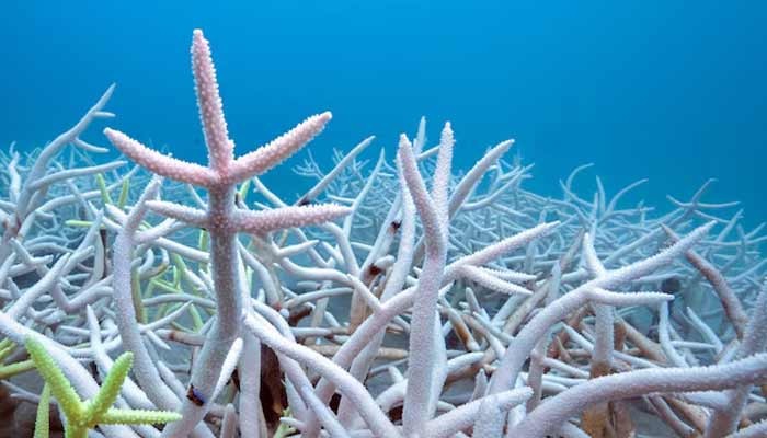 Countries Still Way Behind On Un Biodiversity Targets Shows Research