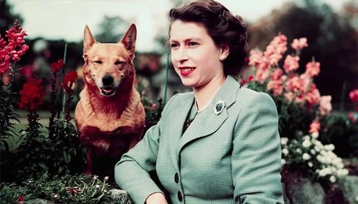 Queen Elizabeth II's lifelong love of corgis celebrated on International Dog Day