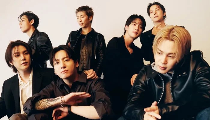 BTS Chicago Concert Breached as Overzealous Fan Tries to Storm Stage