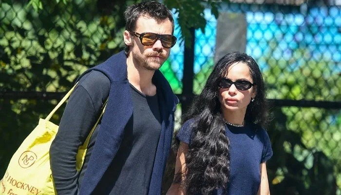 Harry Styles Fans Notice Subtle Nod to Zoe Kravitz in New Update