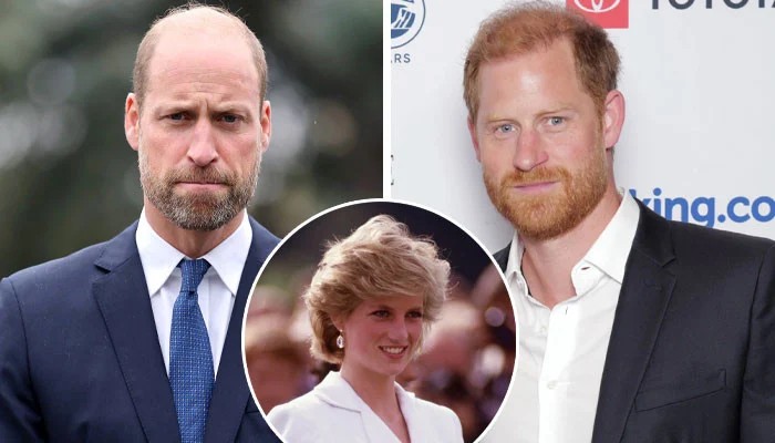 Diana Charity Suffers Brutal Blow Amid William-Harry Backdoor Friction