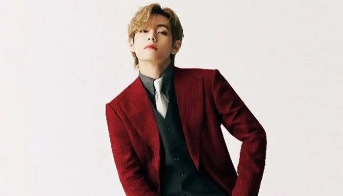 BTS's V Sparks Online Debate After Wearing Keffiyeh On Stage