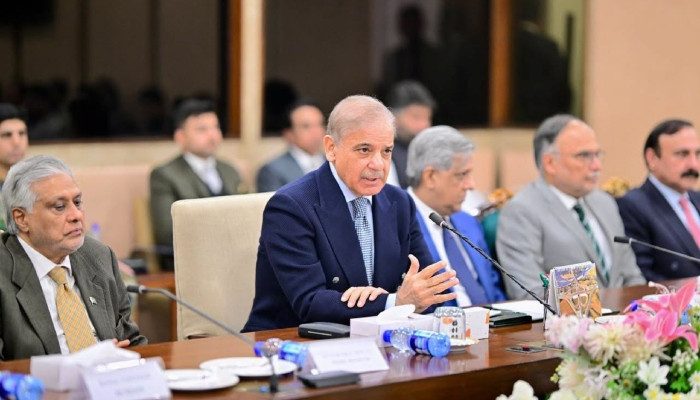 KP Was At A 'Now Or Never' Stage: PM Shehbaz